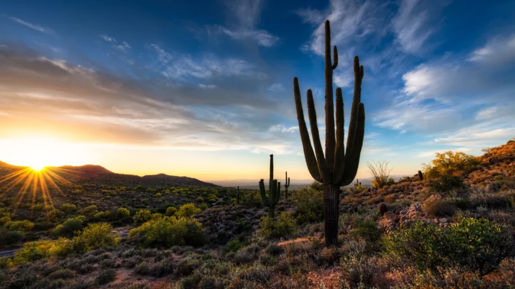 A photo of the Arizona desert at sunset