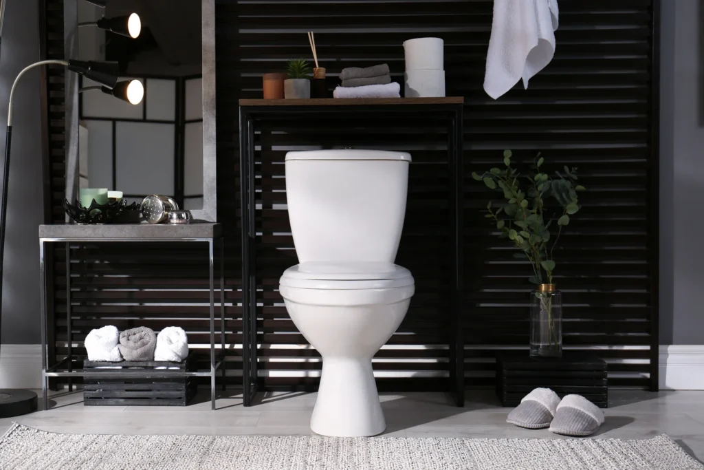A newly installed Bathroom Toilet in a modern bathroom
